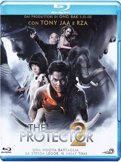The Protector 2 (2013) Hindi Dual Audio BluRay | 1080p | 720p | 480p | ESubs